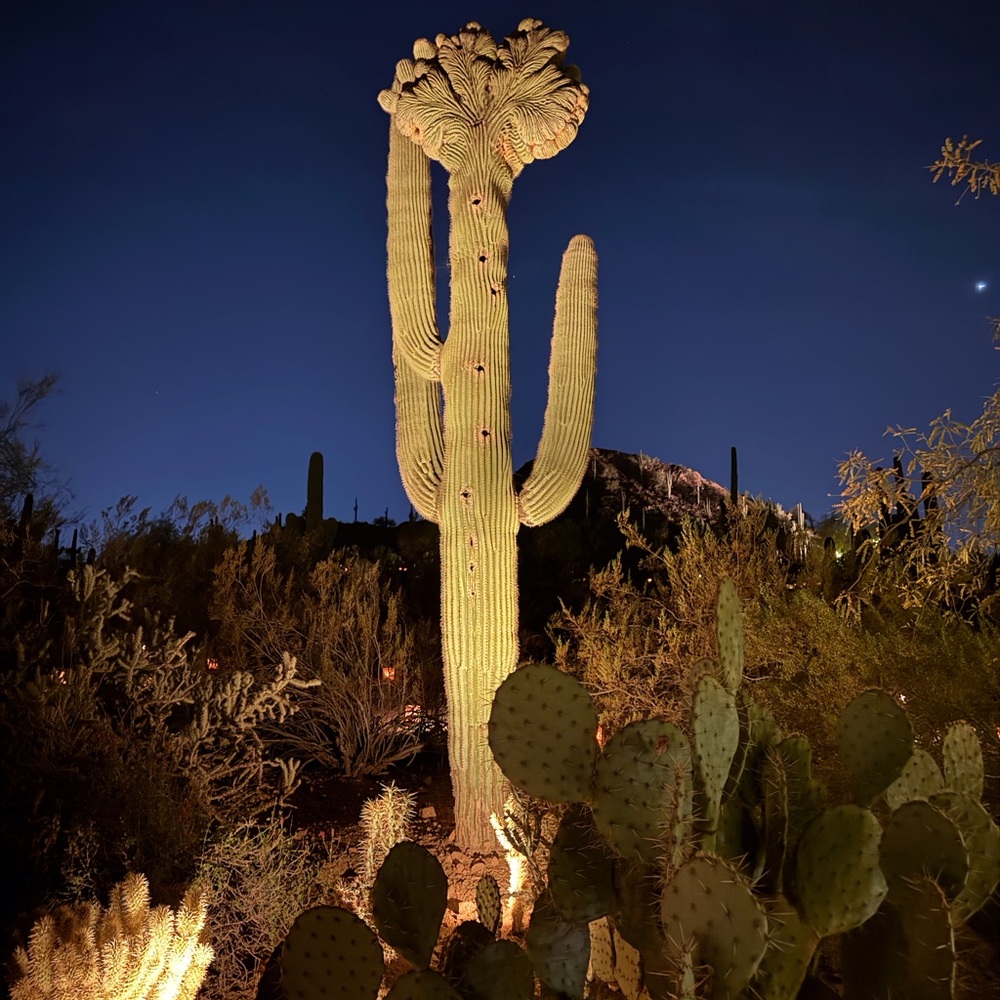 Meet your Posher, Krista